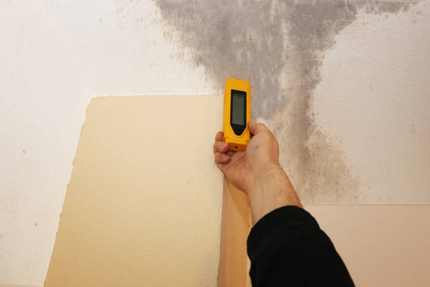 Mold Remediation for Rental Properties in Midlothian, IL